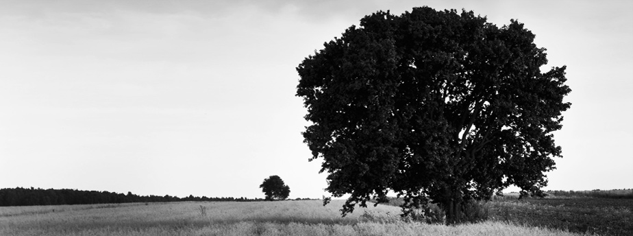 一秒发1000条手机号的软件